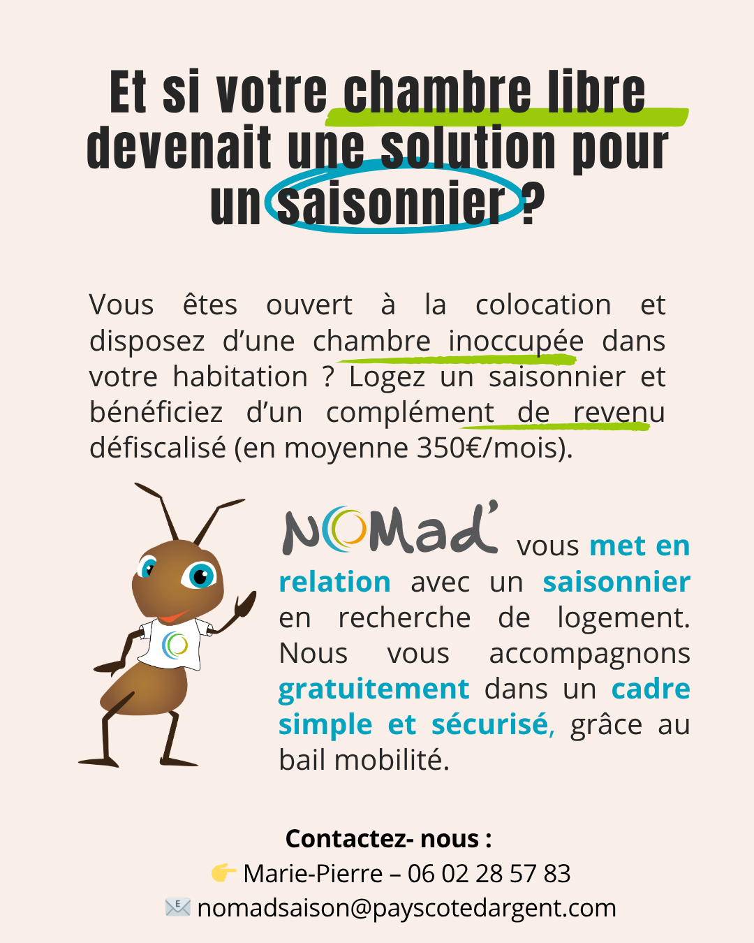 Logement saison Instagram.png